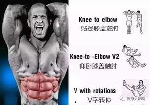 虐腹肌视频,高效燃脂塑形教程揭秘